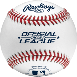 Kelly's Ultimate Sports Rawlings Official League Competition Baseballs ROLB1 (Dozen)